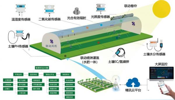 智慧農業 種地從未如此簡單 — 環境傳感器如何點亮未來農田
